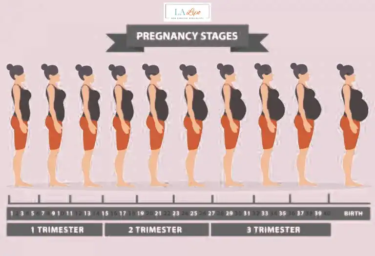 First Trimester (Weeks 1–12): Early Changes You Might Not Notice Shepperton